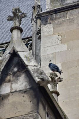 g13/14/415814/3/175423900.e9a80601.JPEG