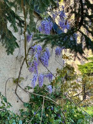 g13/14/415814/3/175427813.6d897192.JPEG