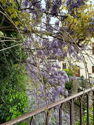 g13/14/415814/3/175427835.ba09e367.JPEG