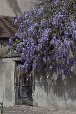 g13/14/415814/3/175427885.087f21ec.JPEG