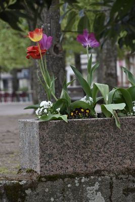 g13/14/415814/3/175427924.142ca390.JPEG