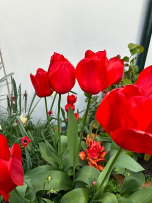 g13/14/415814/3/175437964.bdb7d196.JPEG