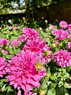 g13/14/415814/3/175719125.4be555d3.JPEG