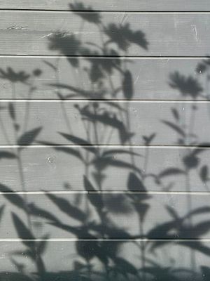 g13/14/415814/3/175818112.be3fb937.JPEG