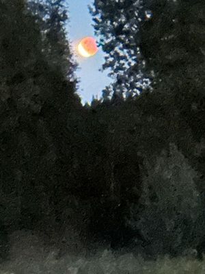 g13/14/415814/3/175827822.ca5d8fbd.JPEG