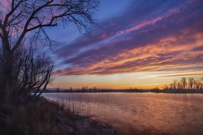 Landscape-Color