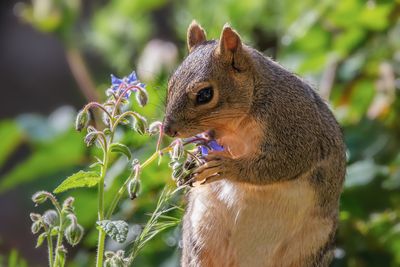 Having a Flower