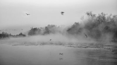 River Fog