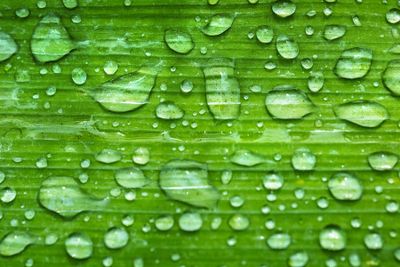 Droplets