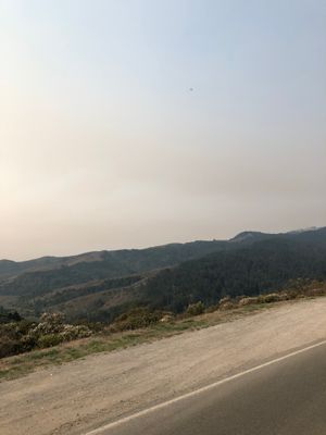 Muir Woods