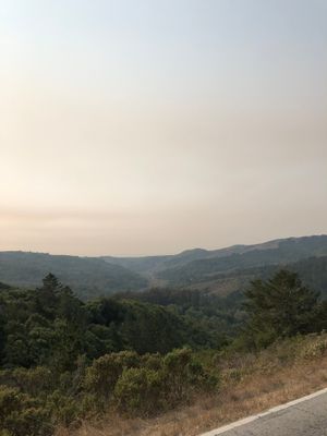 IMG_1650.JPG