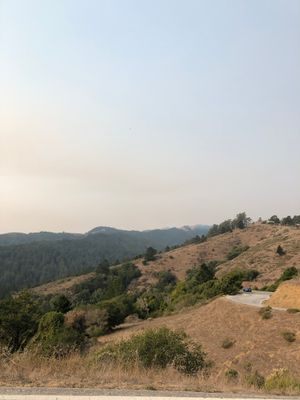 IMG_1652.JPG