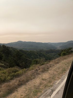 IMG_1655.JPG