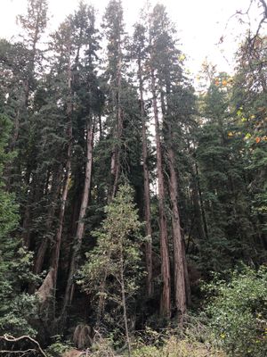 IMG_1667.JPG