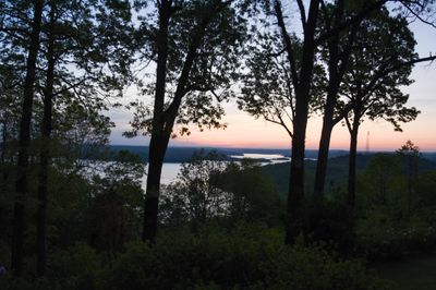 DSC_7761.JPG