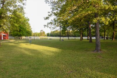 DSC_7934.JPG