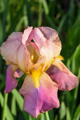 DSC_7942.JPG