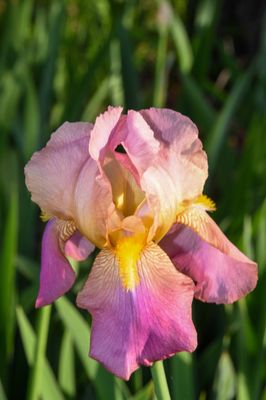DSC_7943.JPG