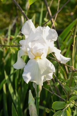 DSC_7944.JPG