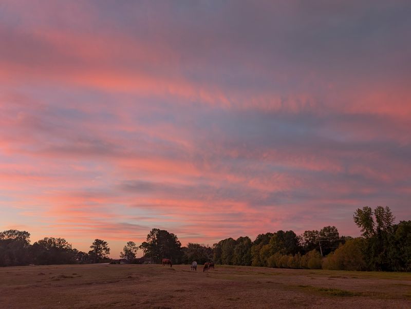 sunrise on the farm