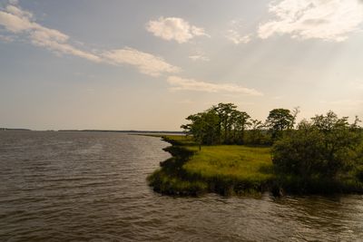 weeks bay (1 of 1).jpg