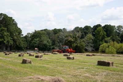 2025 farm