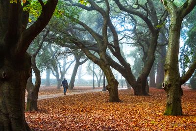 foggy mroning in Berkeley School