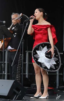 IMG_0249.jpg