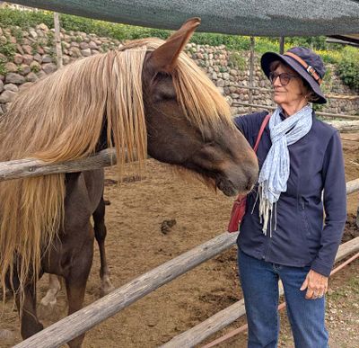 With the resident horse.