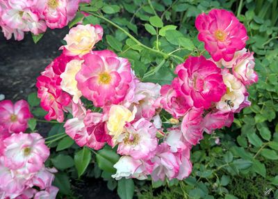 PXL_20250821_003456678.jpg