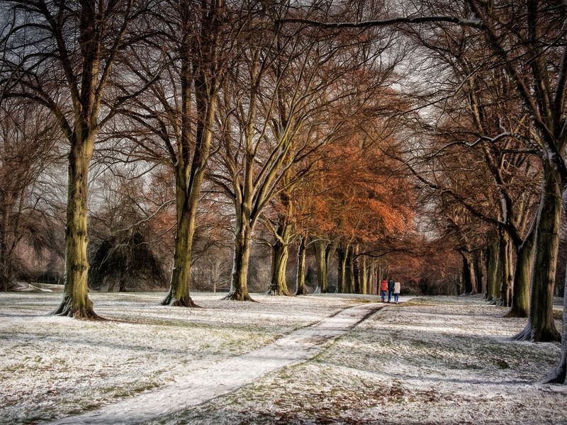 Sunset path