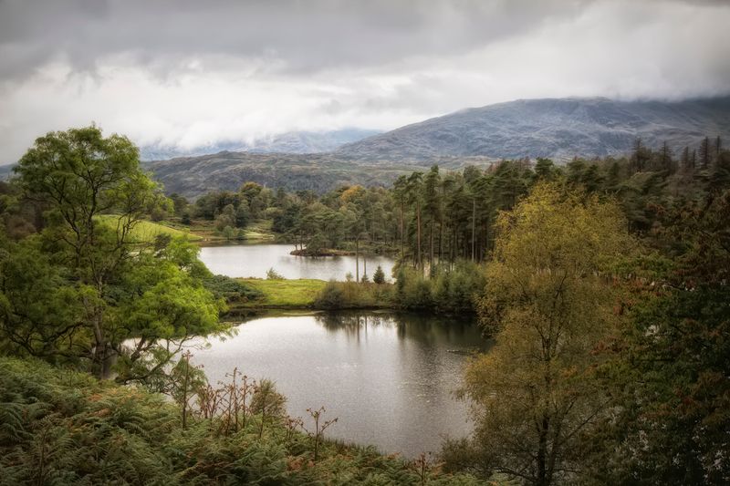 View over Tarn Howes