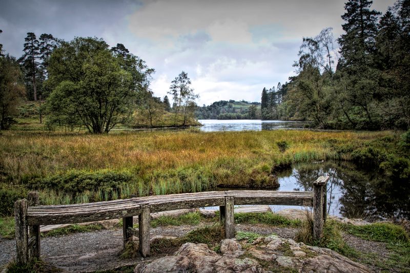 Curvy Bench Tarn Howes