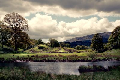 Langdale vista