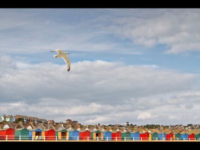 Sand & Seascapes