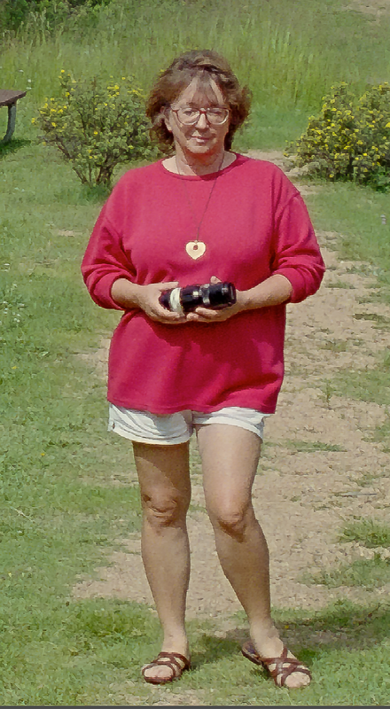 Dotty - 1998 - repost?