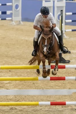 Autumn Showjumping Classic 2nd & 3rd March