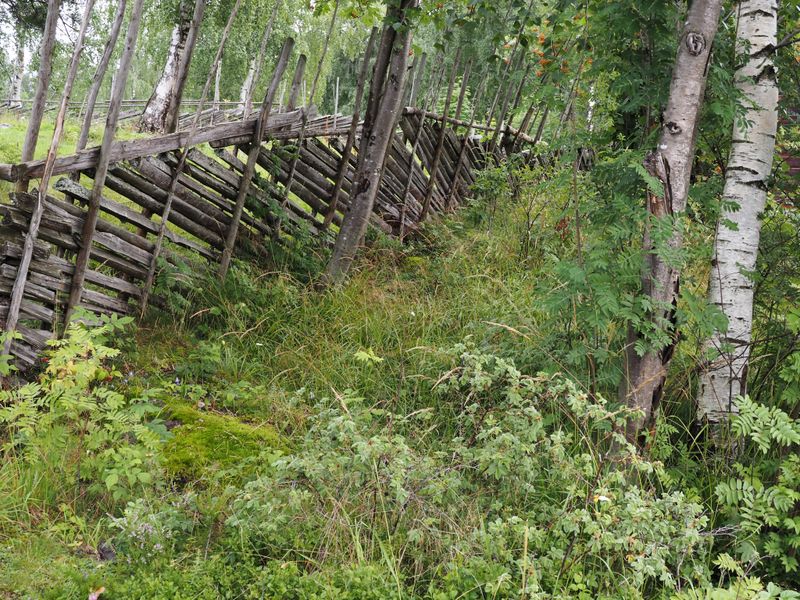 P7271676.jpg