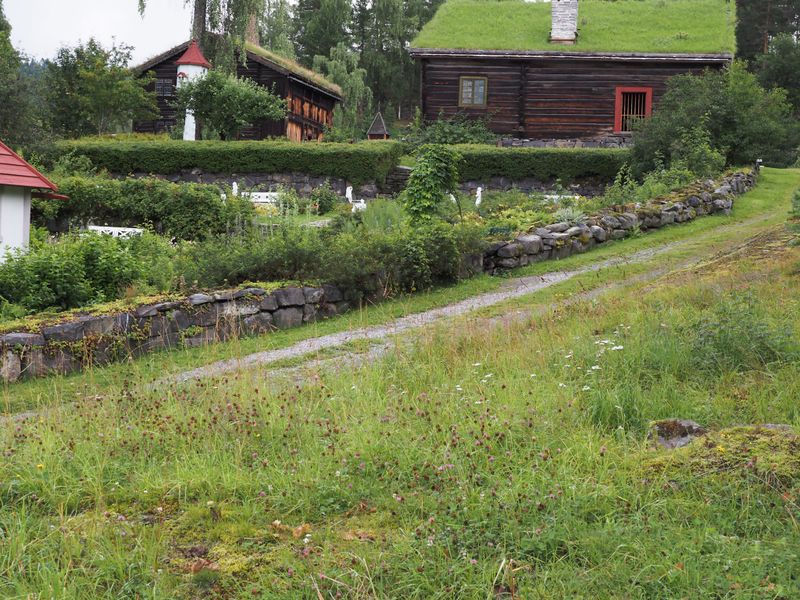 P7271682.jpg