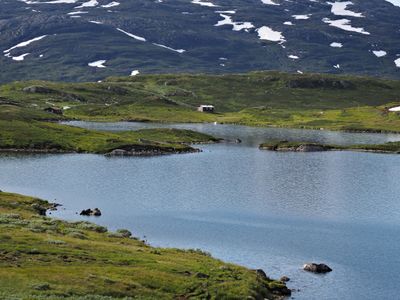 P7210381.jpg