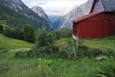 P7220793_B2.jpg