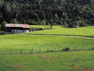P7251225.jpg