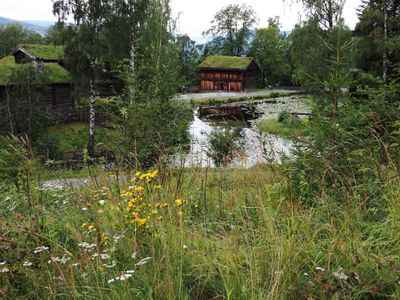 P7271665.jpg