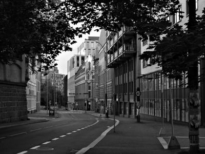 P7190013 bw.jpg