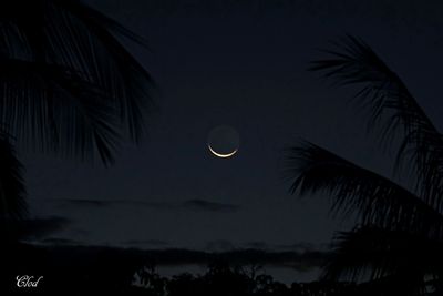 Lever de lune - Moonrise