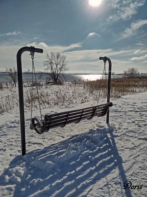 Trop froid pour se balancer! - Much too cold today!