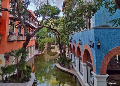 Hotel Occidental Xcaret