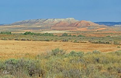 Steppes de Belchite - Belchite steppes