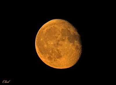 Lever de lune - Moonrise