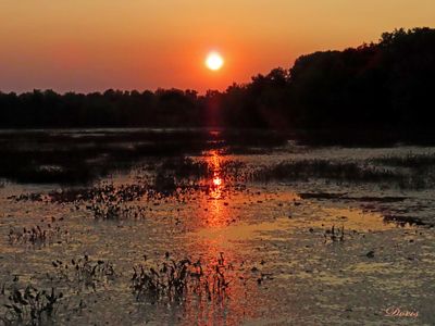 Coucher de soleil - Sunset
